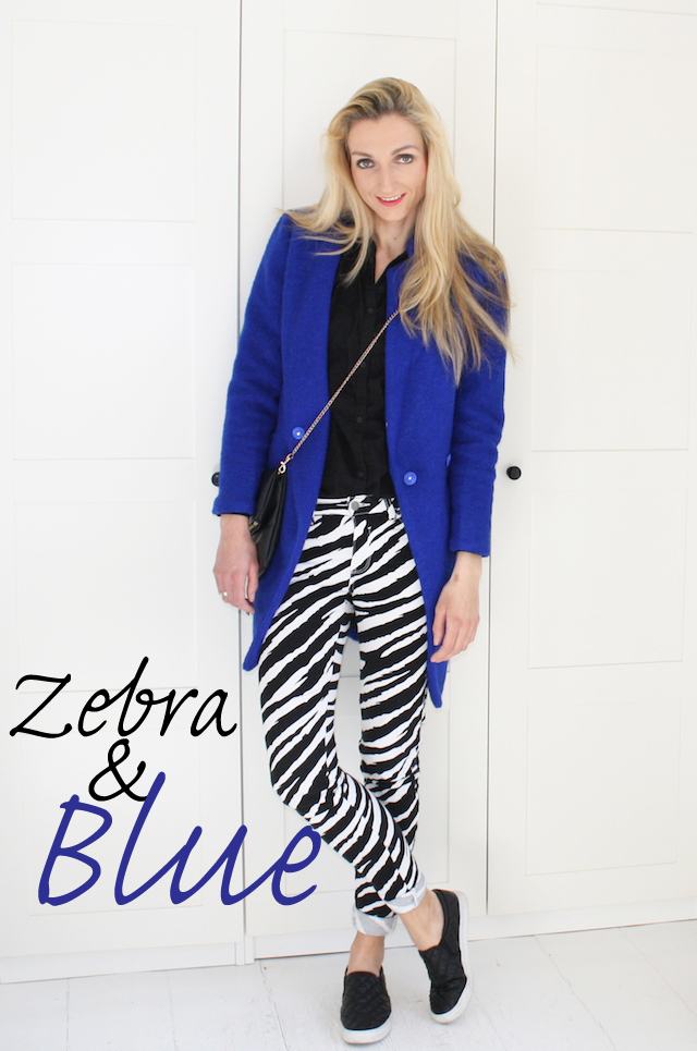 Zebra&blue